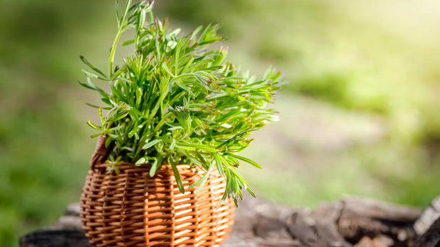 Cleavers
