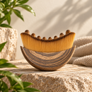 Viera Lymphatic Brush